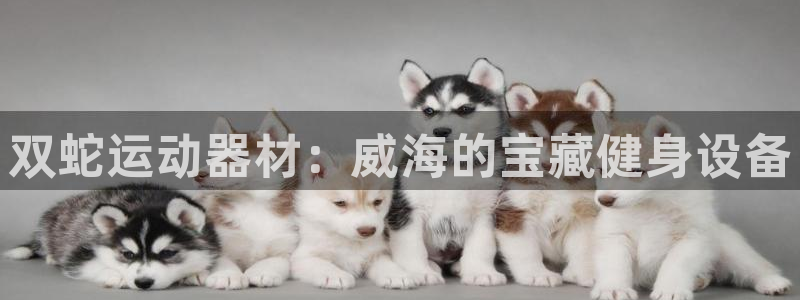 xk星空官方集团官网:双蛇运动器材:威海的宝藏健身设备